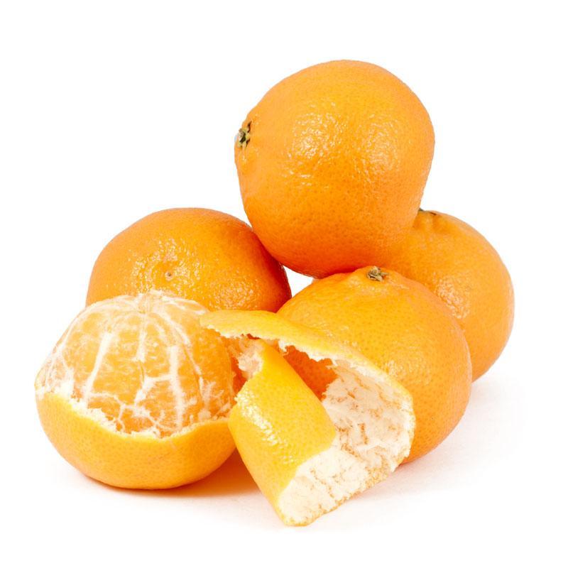 Clementine Mandarin Tree (Potted)
