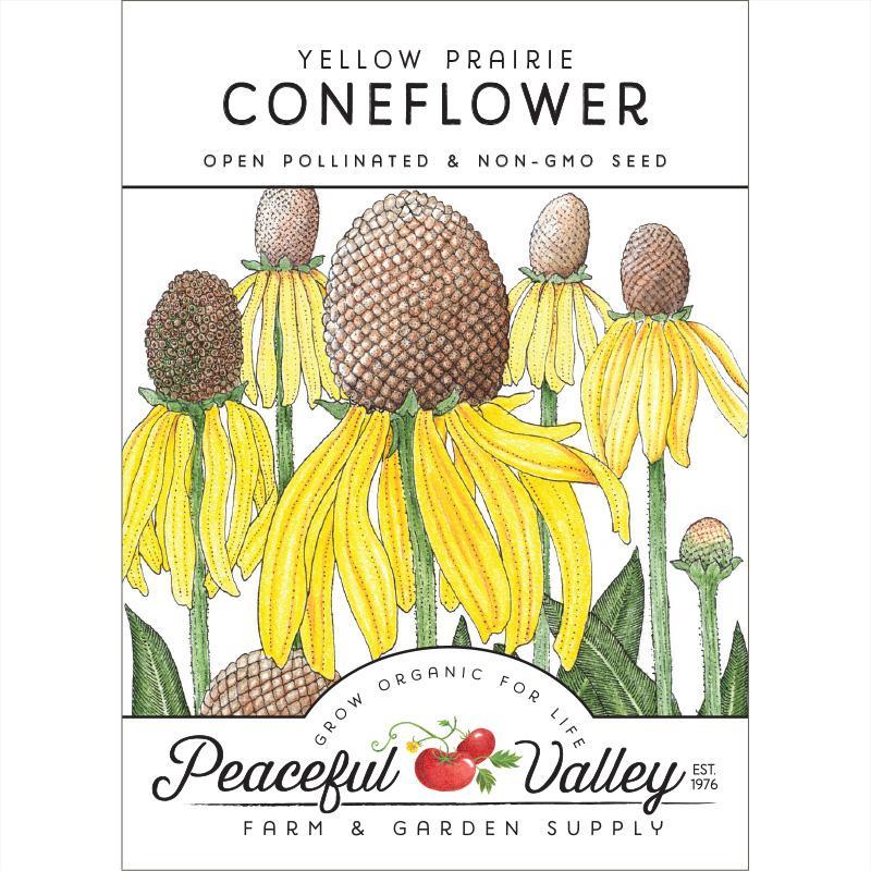 Coneflower, Yellow Prairie (pack)