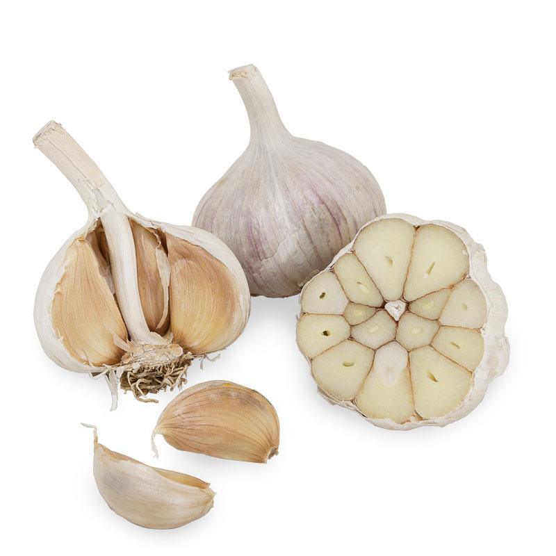 Purple Italian Garlic (lb)