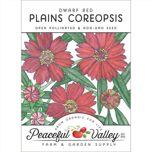 Coreopsis, Dwarf Plains Red (pack)