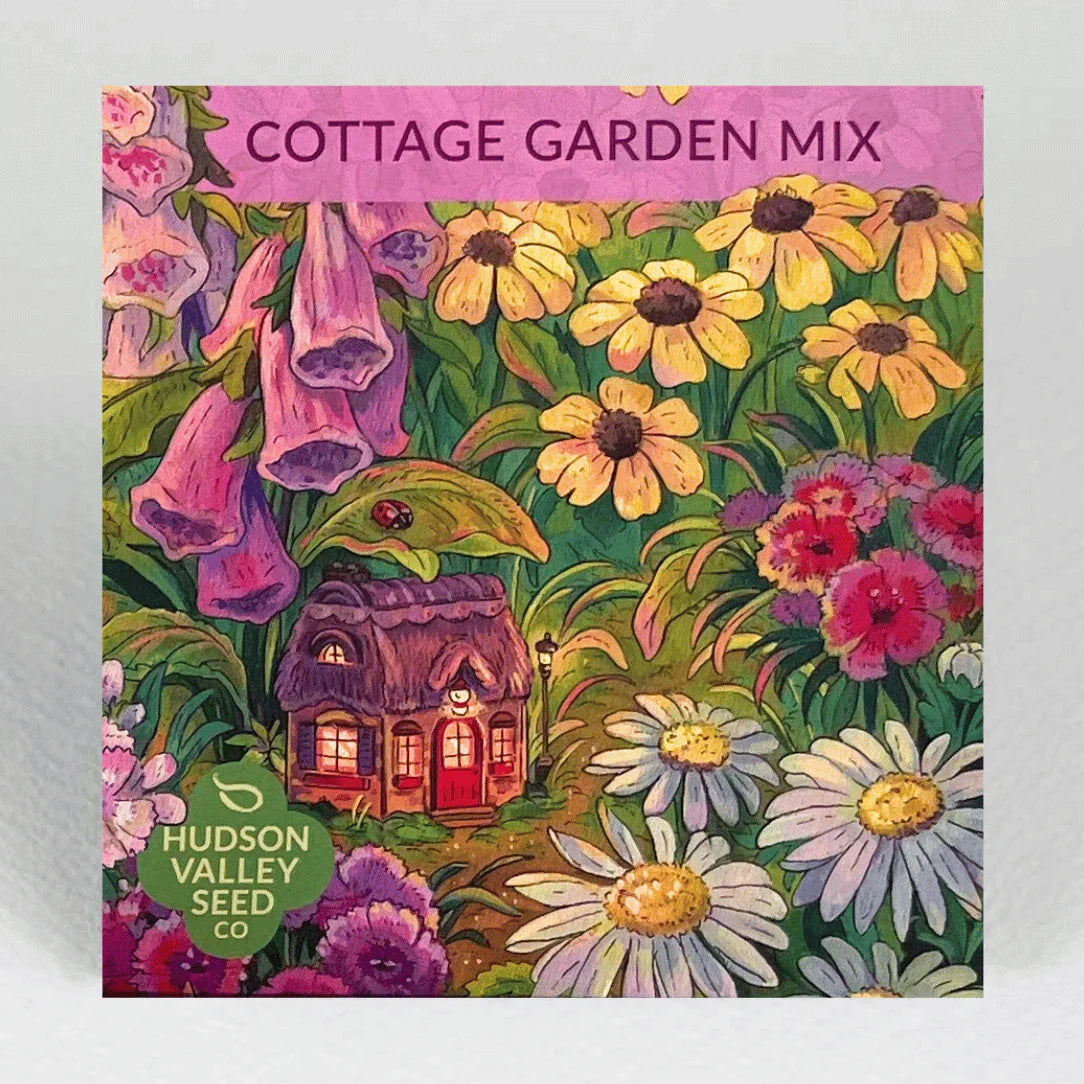 Cottage Garden Seeds Mix