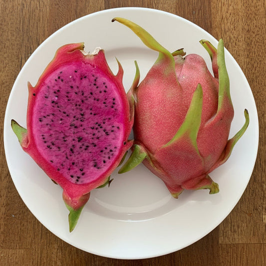 Organic Dark Star 9-S Dragon Fruit Cuttings