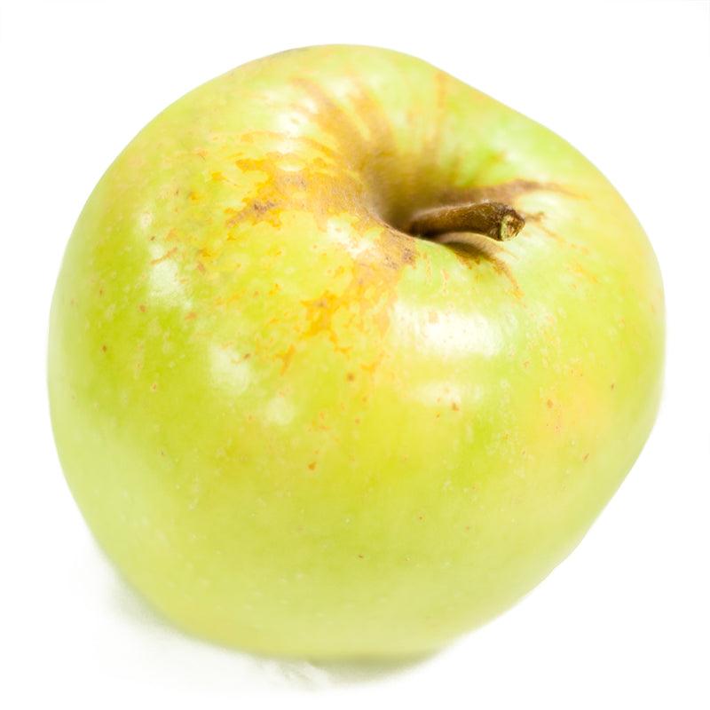 Golden Dorsett Apple Tree