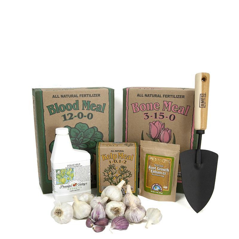 Down to Earth Organic Garlic Growing Kit