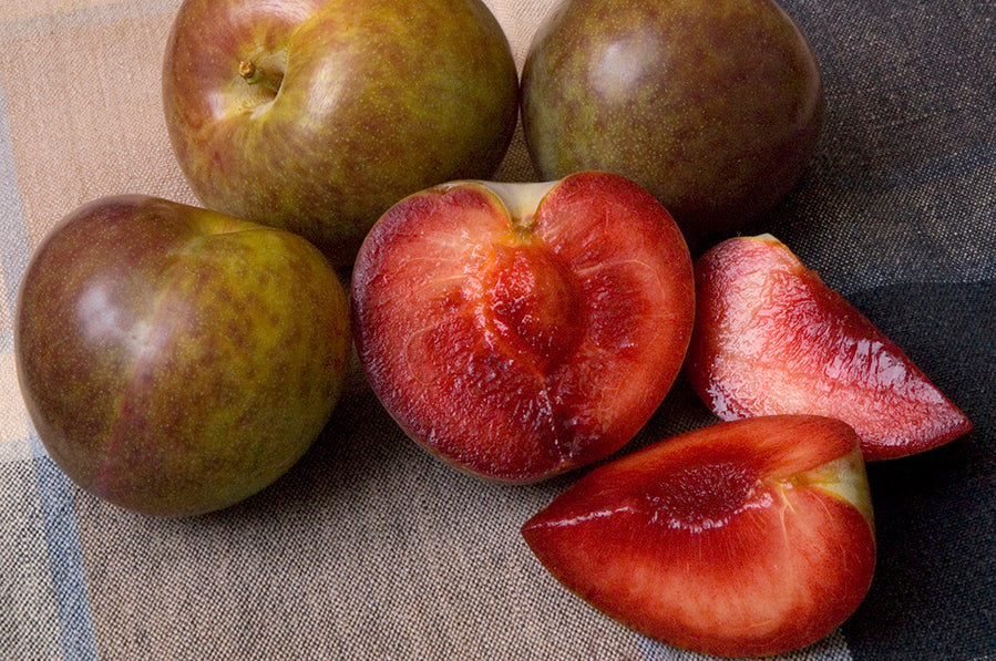 "Constant Harvest" Pluot 3 on 1 Multi Grafted Fruit Tree