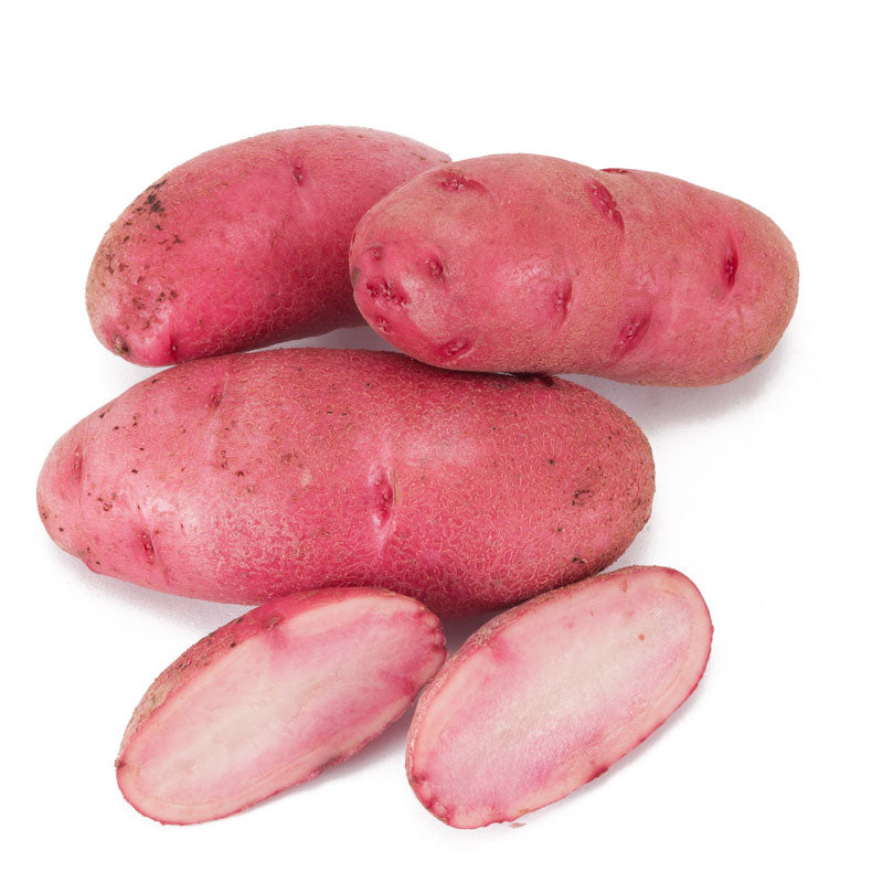 Organic Red Thumb Fingerling Seed Potato (lb)