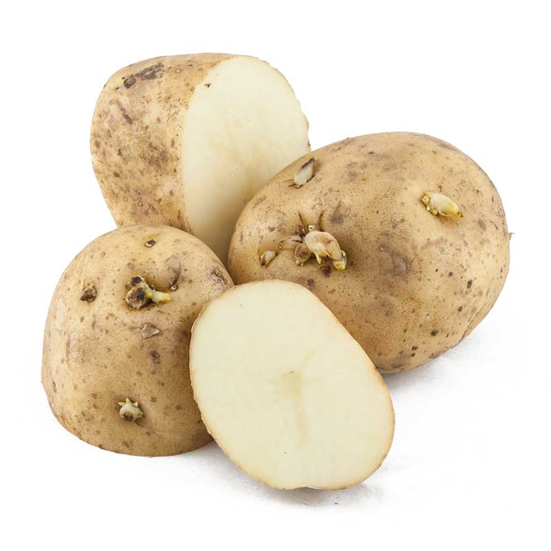 Organic Kennebec White Seed Potato (lb)