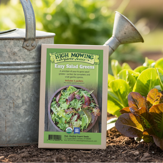 Easy Salad Greens 3 Seeds Packets (Organic)