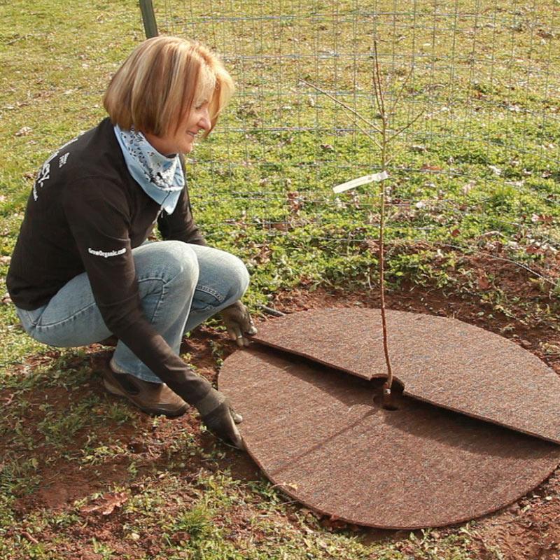 Coco Fiber Weed Mat - 24" Diameter