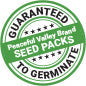 Kapoor Tulsi Seeds (Organic)