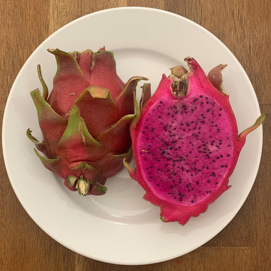 Organic Halley's Comet Dragon Fruit Cuttings