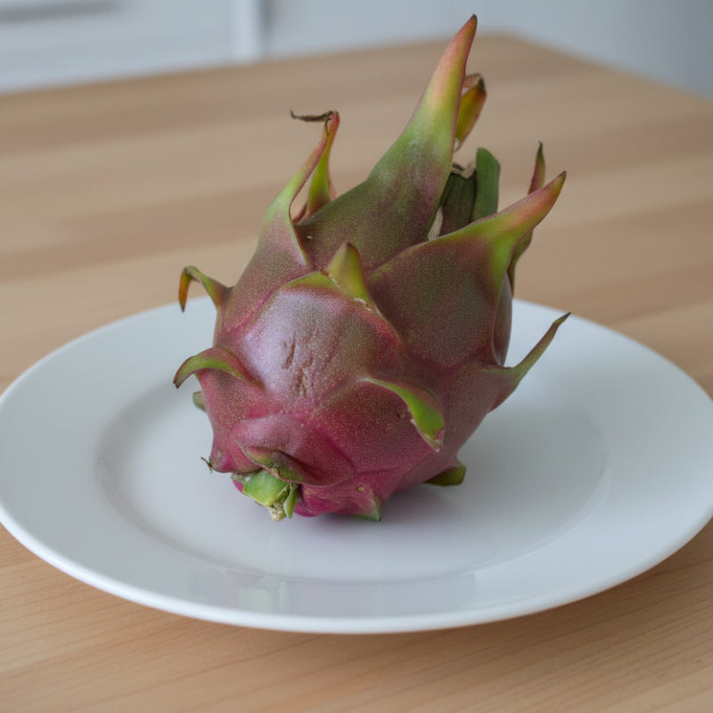 Organic Halley's Comet Dragon Fruit Cuttings