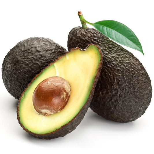 Hass Avocado Tree (Potted)