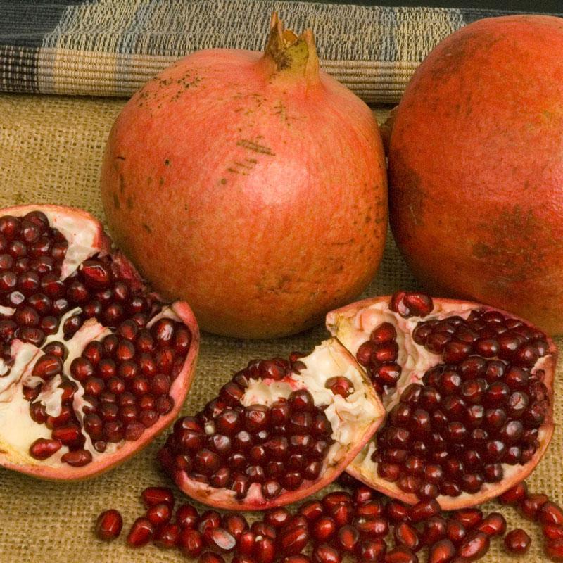 Potted Pomegranate Tree - Kashmir