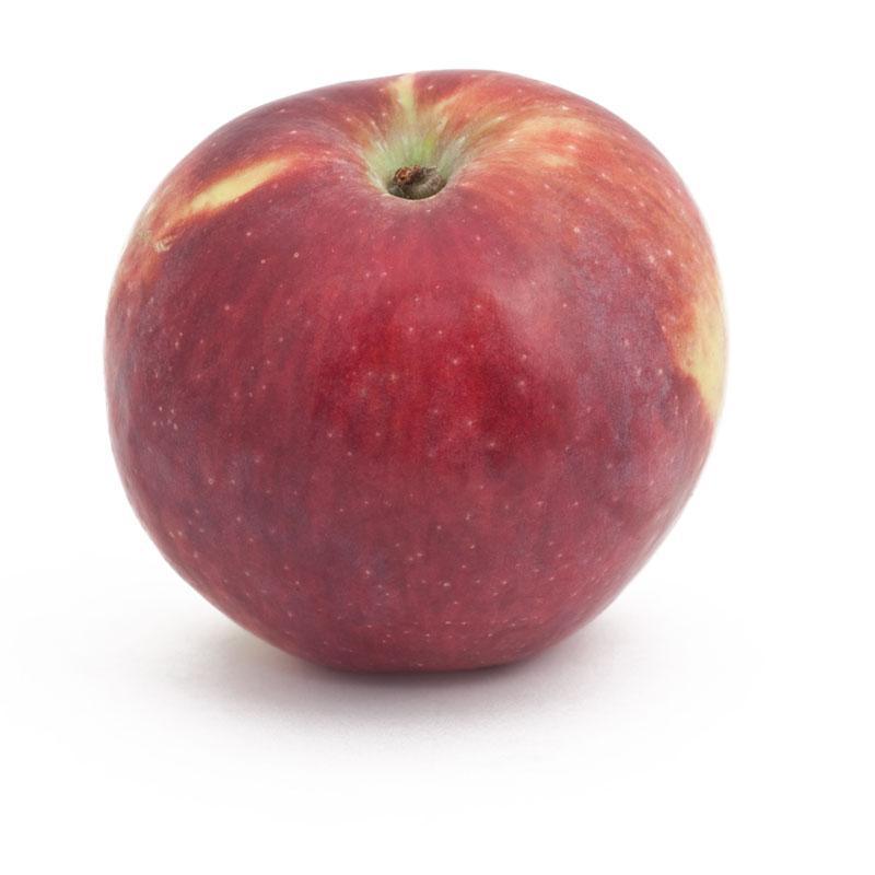 Liberty Apple Tree
