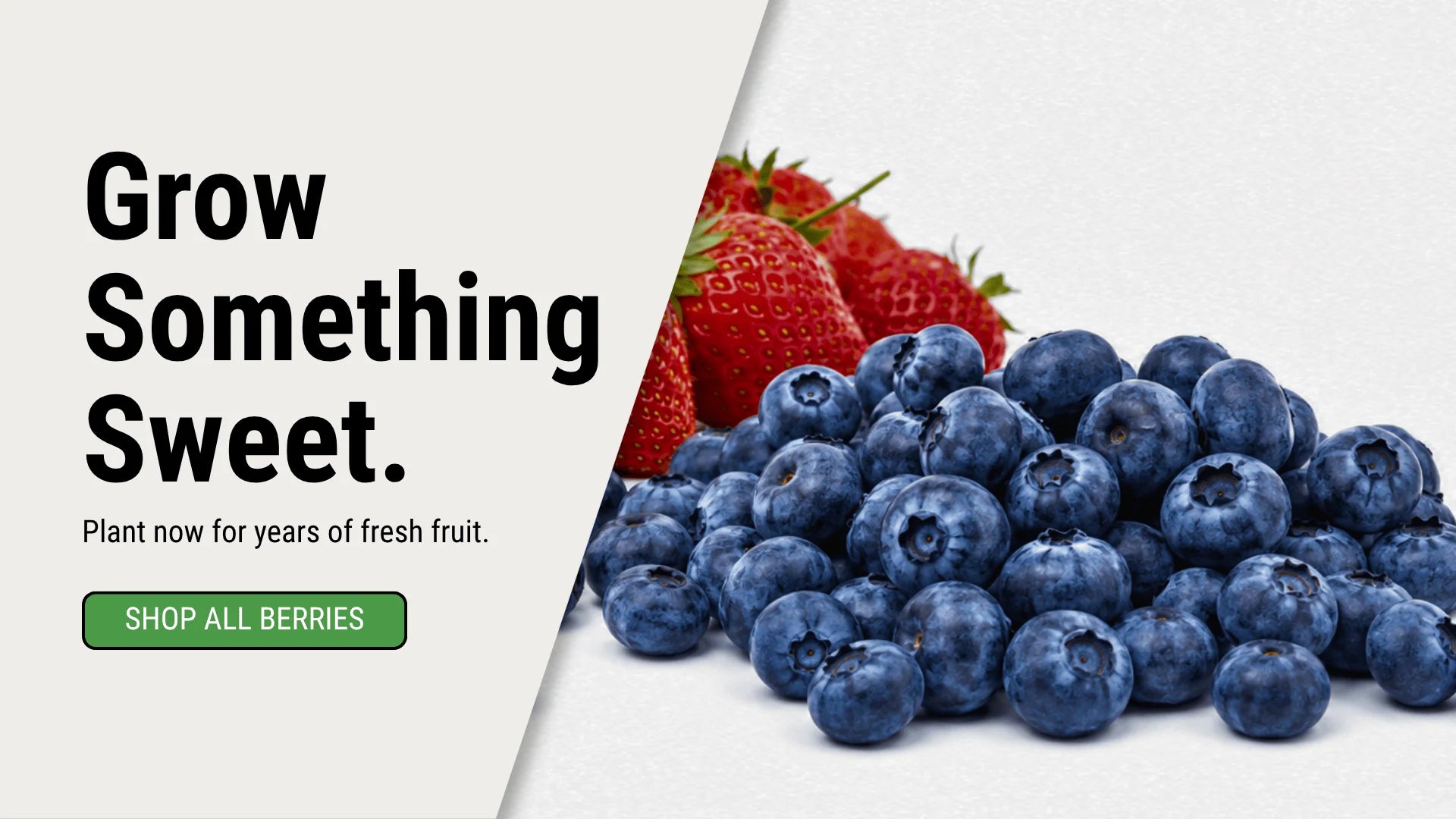 liuqs_job_86_home_01_408e8bfd4b.webp