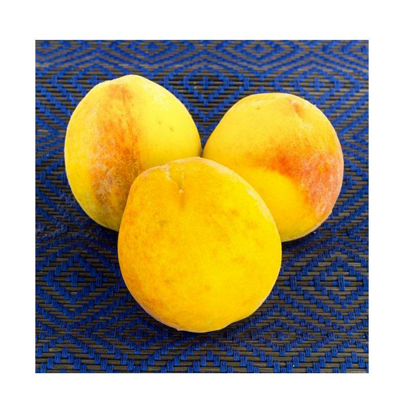 Muir Peach Tree