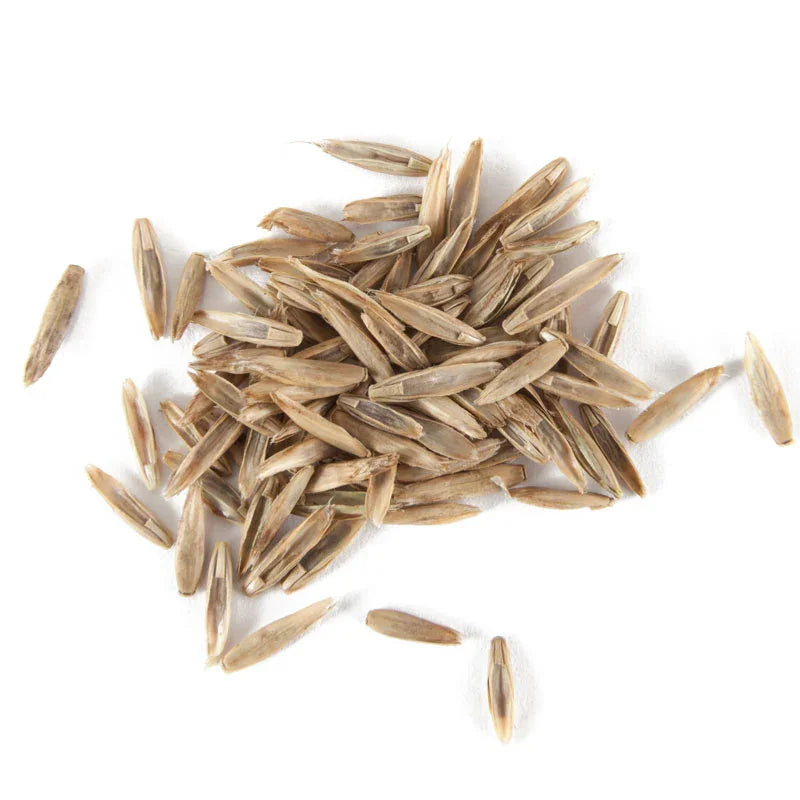 Organic Ryegrass, Intermediate (lb)
