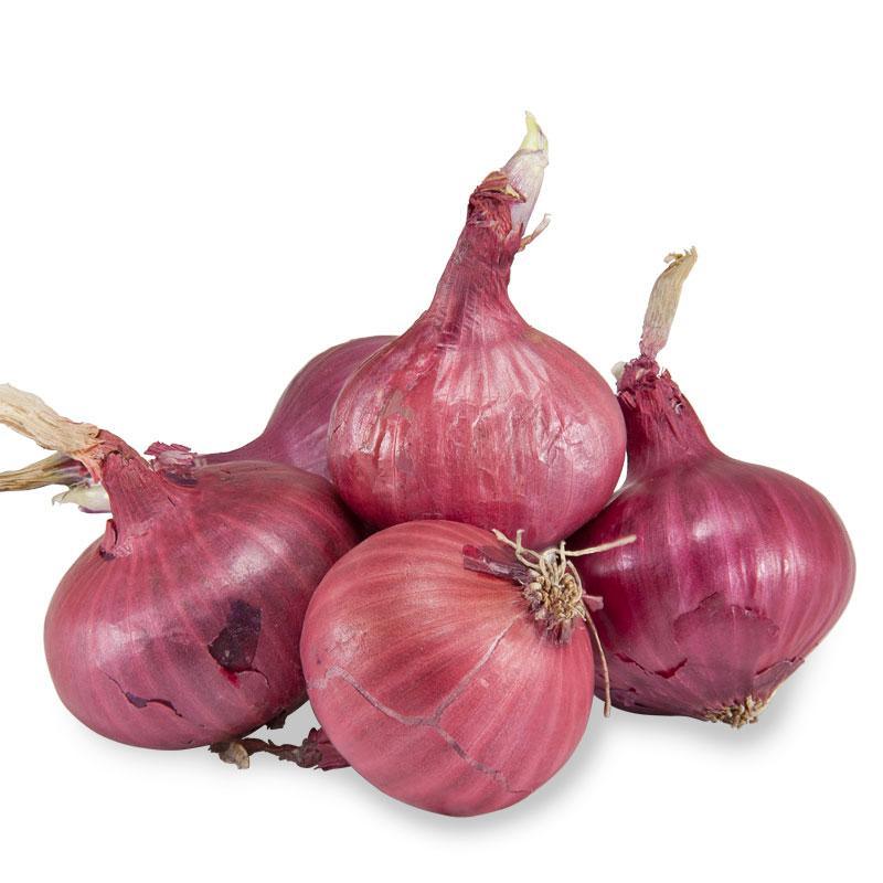 Onion Sets Red Comred (Pack of 75)