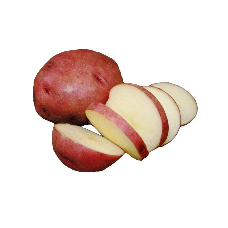 Organic Chieftain Red Seed Potato (lb)