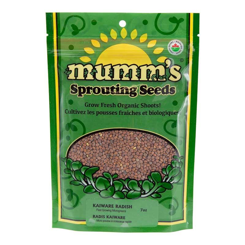 Organic Daikon Radish Sprouting Seeds