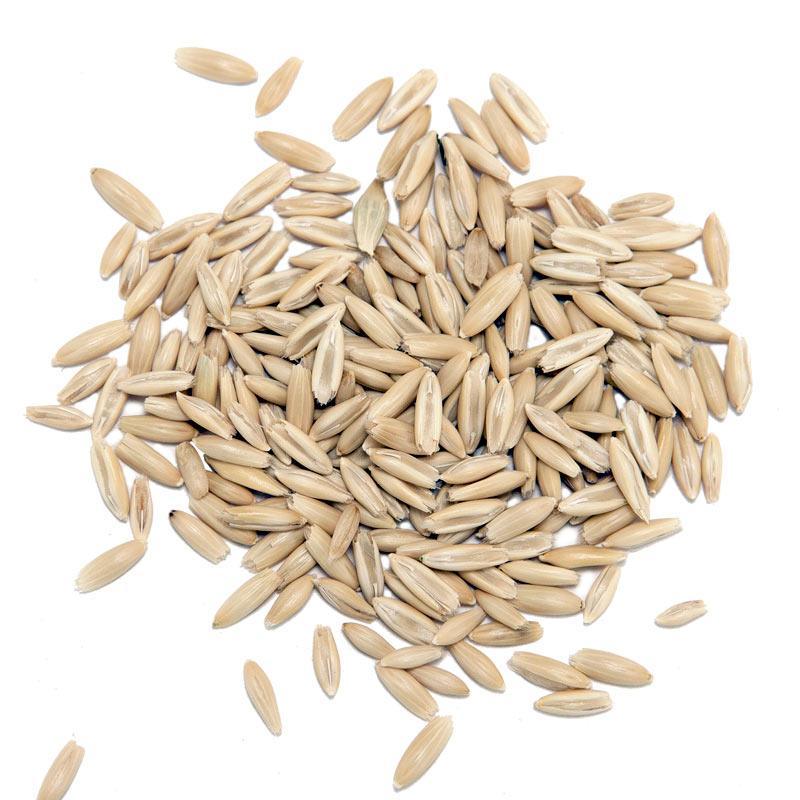 Organic White Oats Seed (lb)