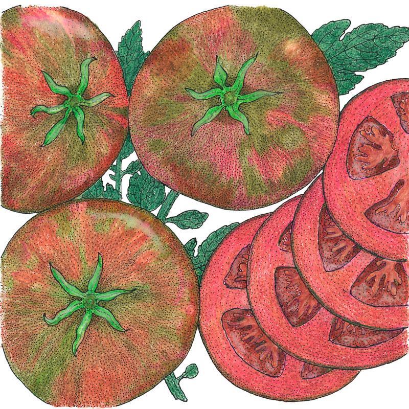 Organic Tomato, Cherokee Purple (1 oz)
