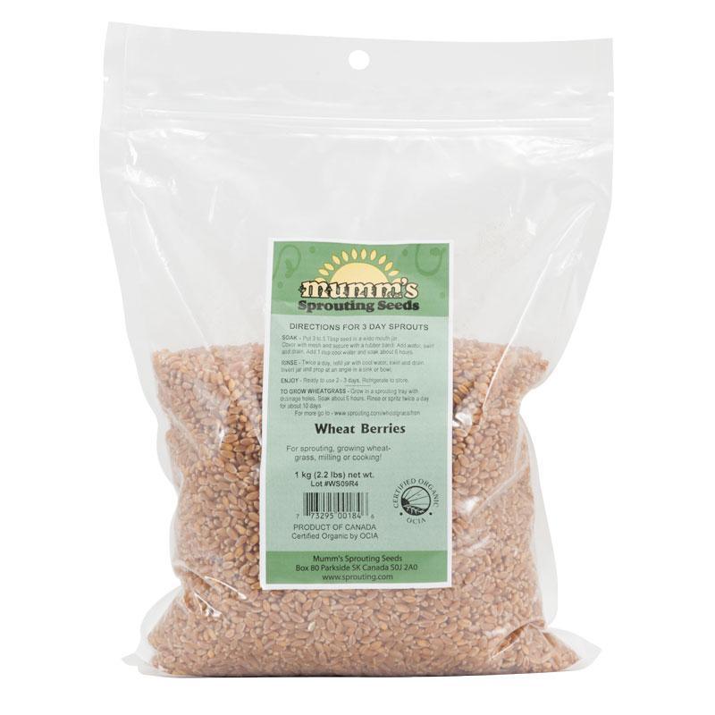 Organic Wheat Red Sprouting Seeds
