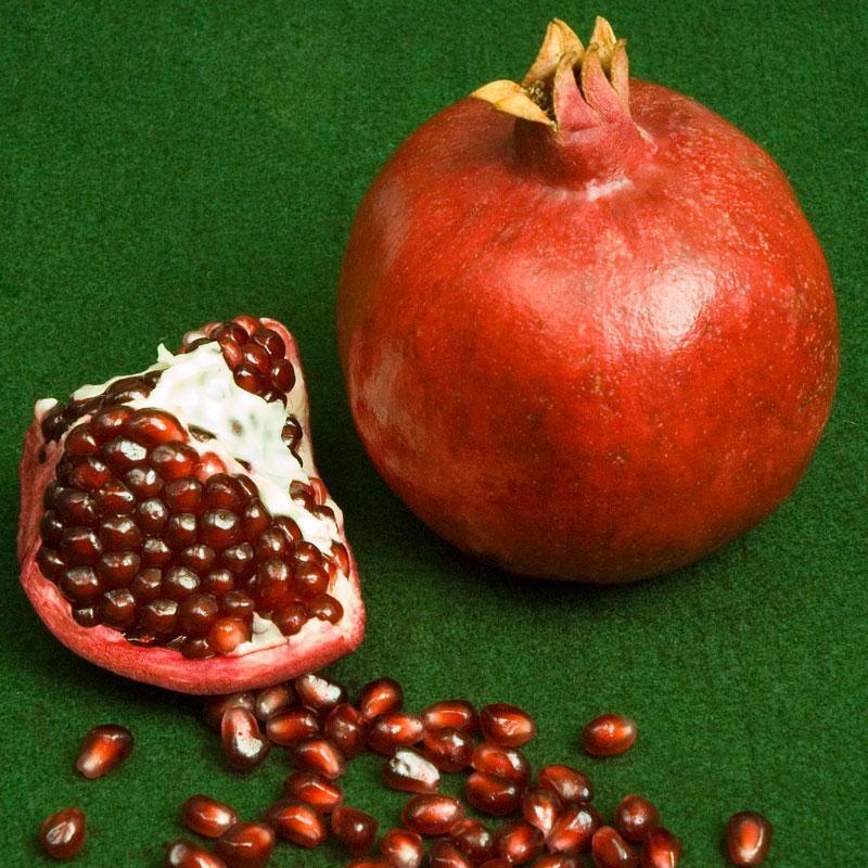 Potted Pomegranate Tree - Parfianka