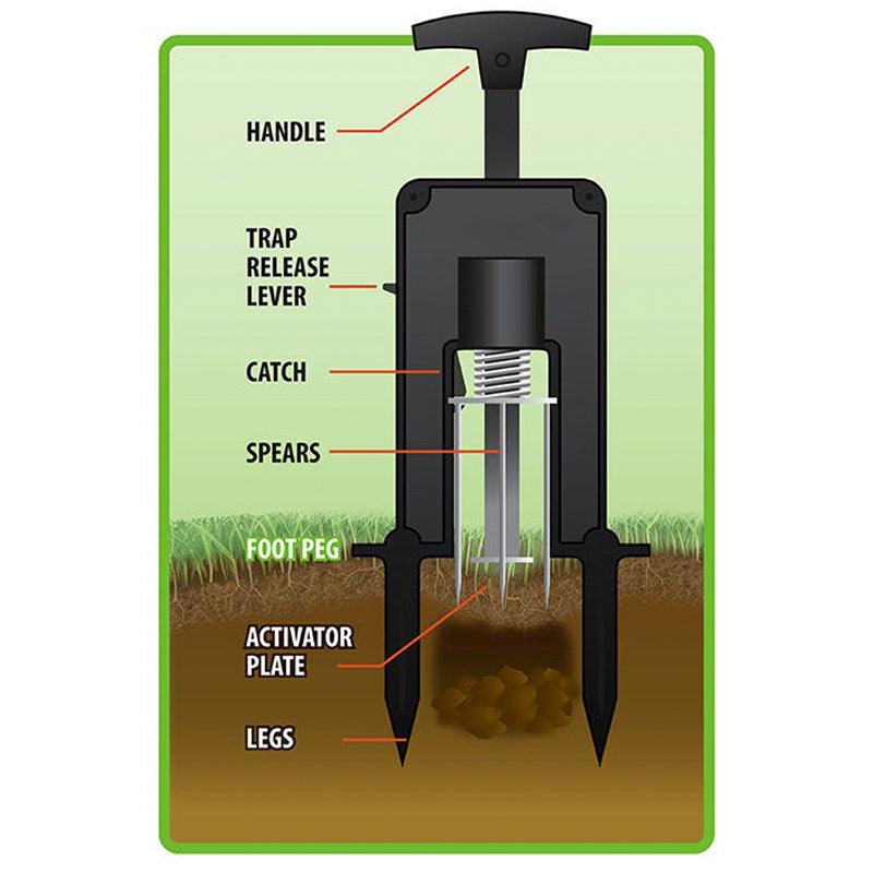 Victor Deadset Mole Trap