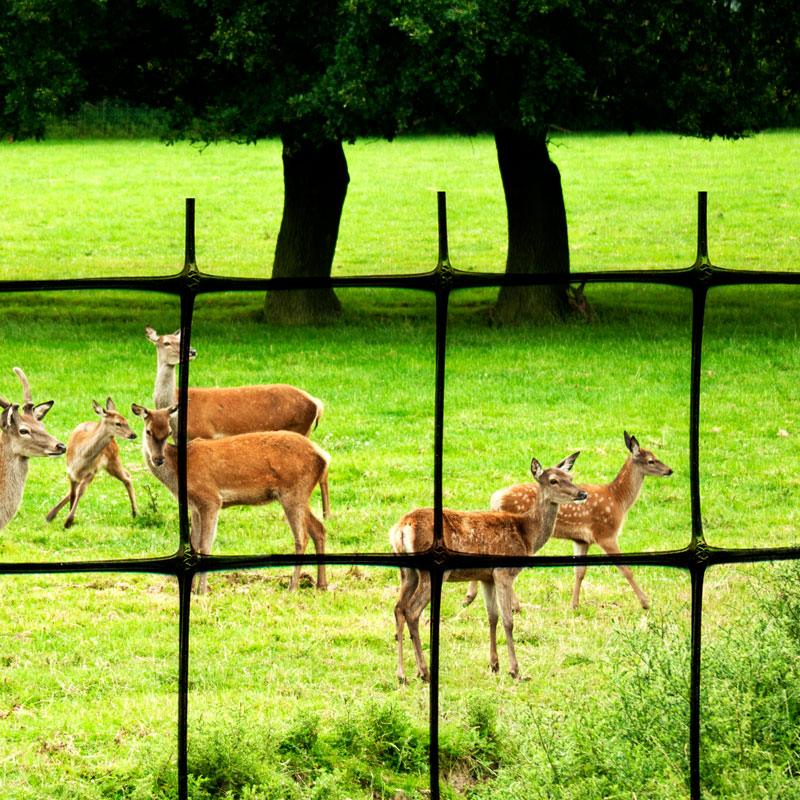 Deer Fence C-Flex (7.5' X 100')