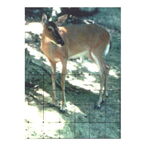 Deer Fencing (7.5'X 330')