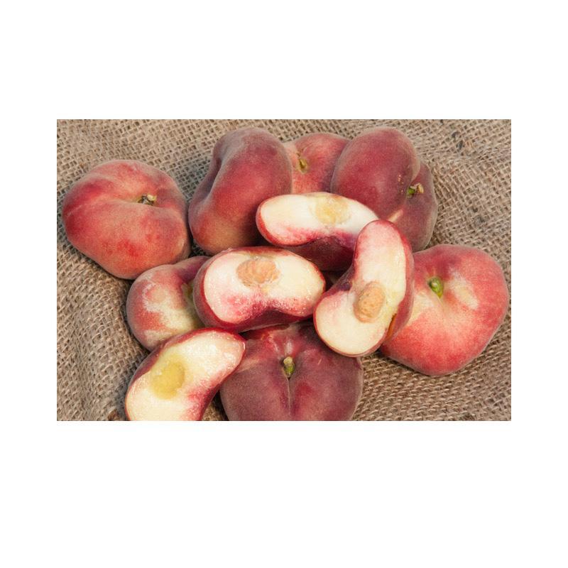 Peach Sauzee Swirl