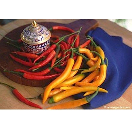 Thai Duo Orange Full Moon & Red Vesuvius Chile Pepper Seeds