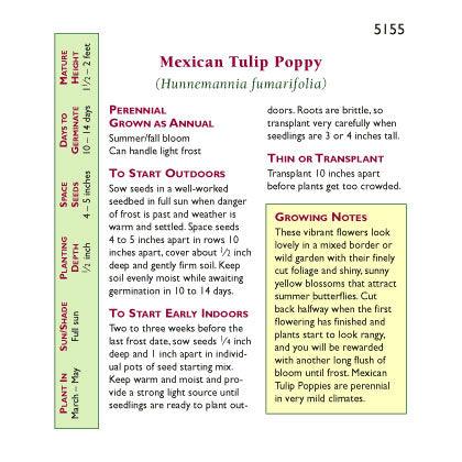Mexican Tulip Poppy Flower Seeds