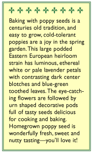 Hungarian Breadseed Poppy Seeds