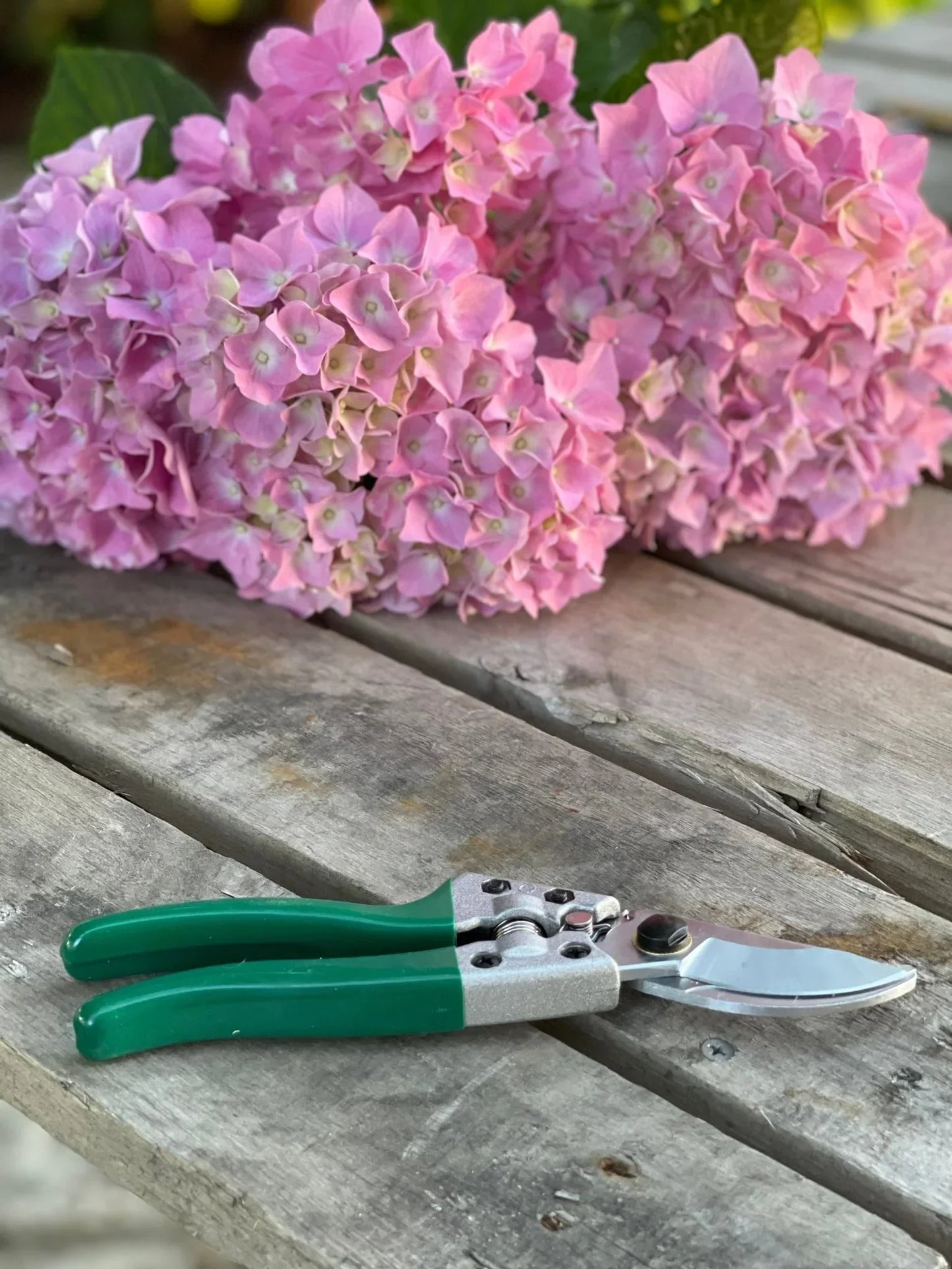 Ultimate Garden Gift Box - 4 Garden Tool Set (Hori Hori, Pruners, Garden Snips and Garden Tool Sharpeners) Tool Kit