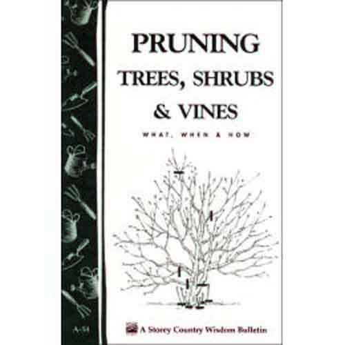 Pruning Trees, Shrubs and Vines