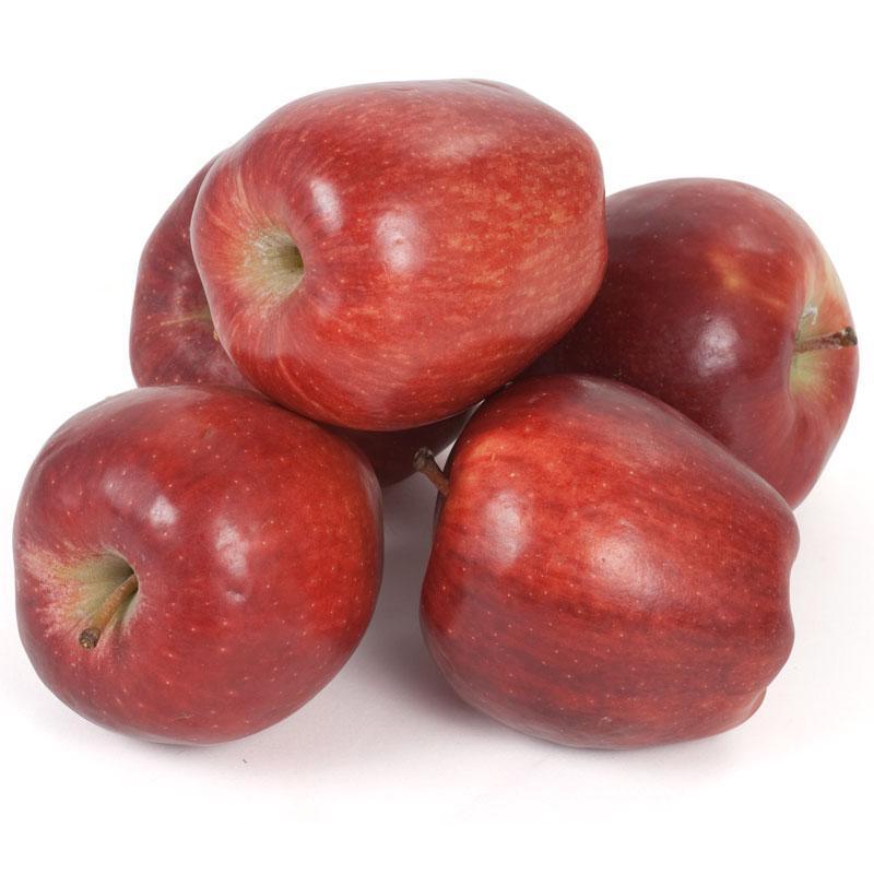 Red Delicious AKA Bisbee Spur Apple Tree Potted (5 Gallon)