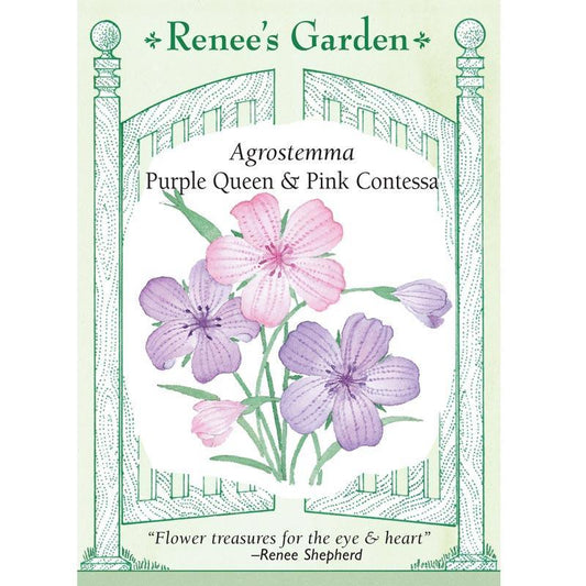 Purple Queen and Pink Contessa Agrostemma Flower Seeds