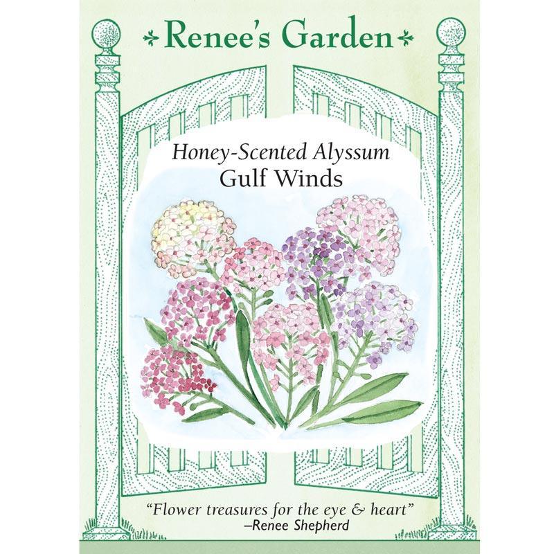 Honeyscented Gulf Winds Alyssum Flower Seed Mix