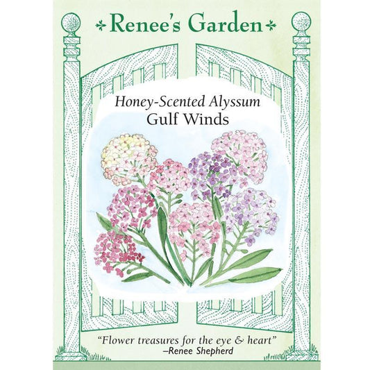 Honeyscented Gulf Winds Alyssum Flower Seed Mix
