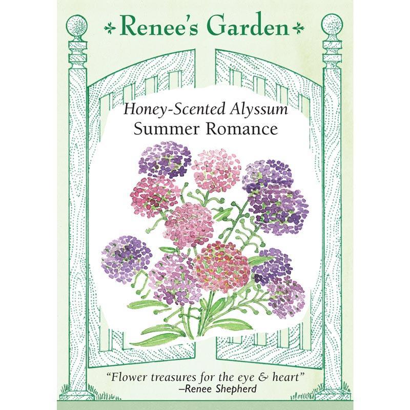 Summer Romance Alyssum Flower Seed Mix