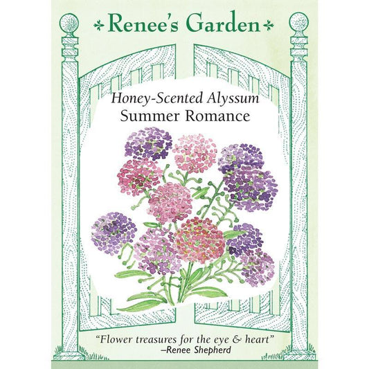 Summer Romance Alyssum Flower Seed Mix
