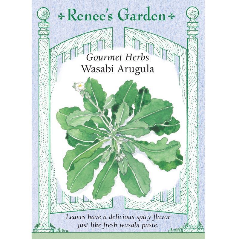 Wasabi Arugula Seeds