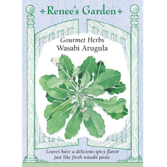 Wasabi Arugula Seeds