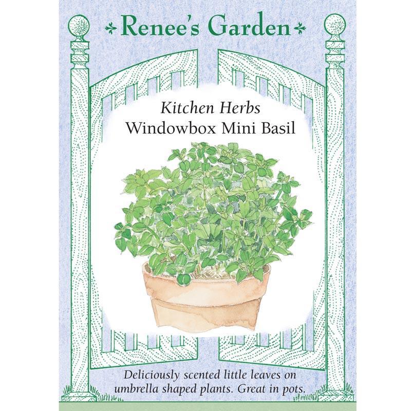 Windowbox Mini Basil Seeds