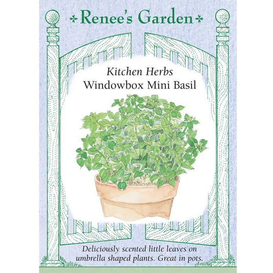 Windowbox Mini Basil Seeds