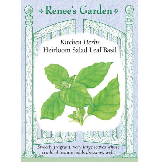 Salad Leaf Basil Seeds