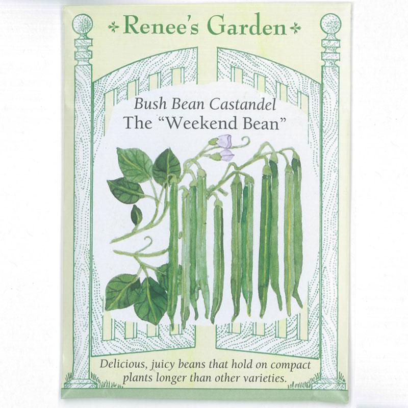 Castandel Weekend Bush Bean Seeds